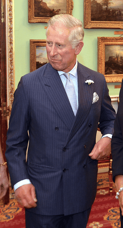 OPEN LETTER TO THE GOETHEANUM, ELIANT, AND ASSOCIATED ANTHROPOSOPHICAL ORGANIZATIONS REGARDING THE RELATIONS WITH KING CHARLES III (2)
